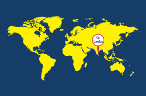 ivo-worldwide